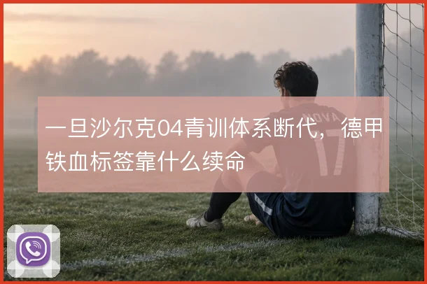 一旦沙尔克04青训体系断代，德甲铁血标签靠什么续命